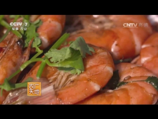 shrimp xia, or nan mei bai dui xia (white-legged shrimp), or wan na mei. a special freshwater form of crustaceans from