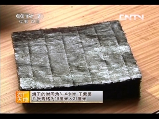 nori (japanese) or zicai is the process of making roll plates from hong zao dark red algae.