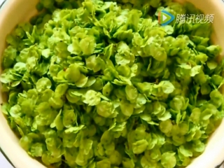 elm (swan) seed pie with roasted goose flavored di qi yuqian jian e dan . elm, or elm (lat. ulmus) yu shu (elm de