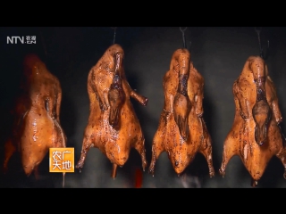 peking duck beijing kaoya (roast duck, or baked peking duck). peking duck special chefs