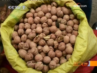 walnut hetao, literally peach kernel, or hetao guo (nut fruit). walnut harvest processing hetao cai