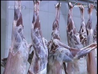 industrial slaughter of sheep in specialized factories. (warning, not nervous