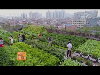 gardens on the roofs of multistorey buildings. the air garden of kung zhong hua yuan, or wu ding hua yuan's rooftop garden. successful farmer