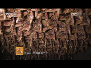 fragrant duck banya xiang, or pressed salted duck with special flavor from qian hu an xiang county (thousand lakes of anxiang)