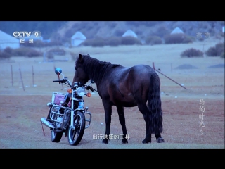 time of the horse (part 03) ma de shiguang and the progress of human society renlei shehui buduan jinbu . from wild horses