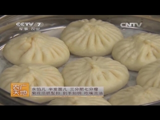 dishes of tianjin city (part 01) tianjin xiaochi - food at home, or subcultural traditions of china zi wenhua chuantong