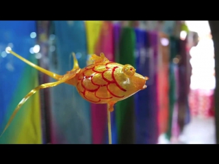 jinyu goldfish - inflated lollipop tango jiamao.