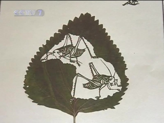 leaf carving ye diao - the technology of the ancient craft of guniping ye diao.