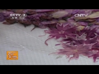 dried flower paintings ganhua tupyan, or ya hua - the basis of folk craft.