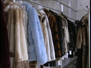 (attention not for the fail nervous) mink shudyao - fur processing technology.