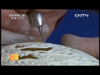 carving on the shell of ostrich (emu, nanda) and chicken eggs.