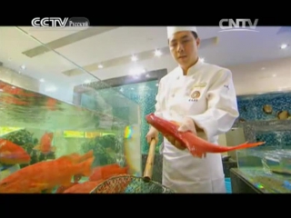 culinary journey through china - guangdong cuisine.