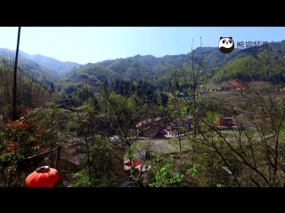 intoxicating spring - jinggangshan mountains, red tourism attraction.