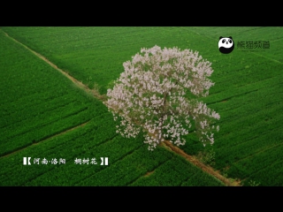 intoxicating spring - outskirts of luoyang dong shu .