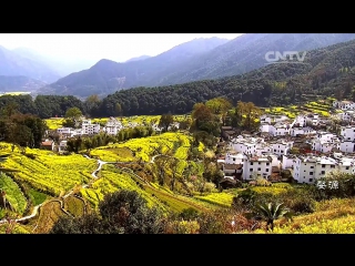 intoxicating spring - jiangxi province.