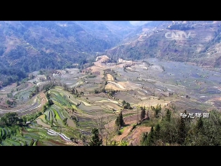 intoxicating spring - hani rice terraces in yunnan province.