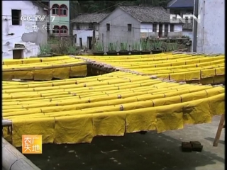 fuyang bamboo paper is jue's oldest wood processing technology to produce more than 20 kinds of paper. big tits