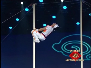 xuanwu acrobatic troupe (2008).