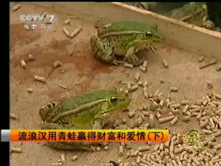 (wealth from the love of frogs)