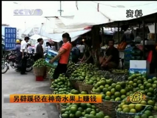 (citrus orchards are a millionaire's secret)