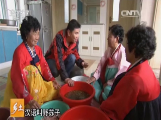 (life of the korean diaspora jindal, jilin province)