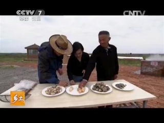 (skill of shellfish fishermen, jiangsu province)