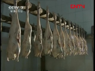 (zhenjiang flavored salted duck sulan - production process in nanjing city, jiangsu province)