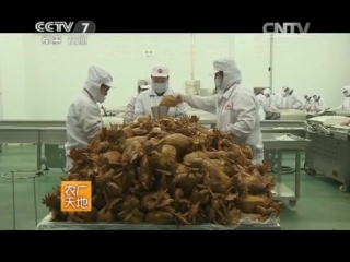 (jinfeng stewed chicken - production process).