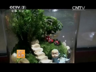 (microlandscape behind moss glass - production).