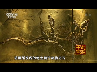 (secrets of the ancient monsters of the jurassic period)