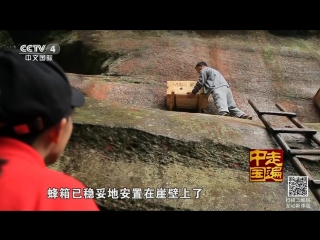 (mountain honey from sheer cliffs - xishui nature reserve)