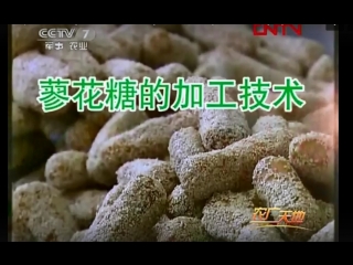 (liaohua sweet air sticks of nomi glutinous rice in a sesame coat, shaanxi province)