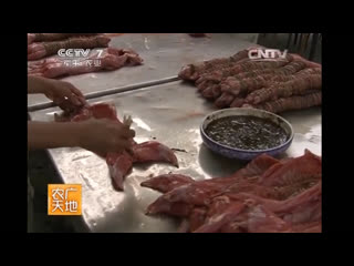 from farm to consumer peaches and smoked rabbit - sichuan province .