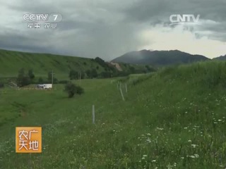 beekeeping of xinjiang province - a special work method.