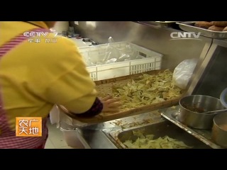 cooking of china - dishes and tastes of tianjin province (film 1 and 2).