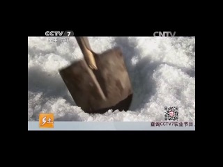 traditions and life of china (film 4) - border city aar. ski base. mineral water. hot spring and fishing.