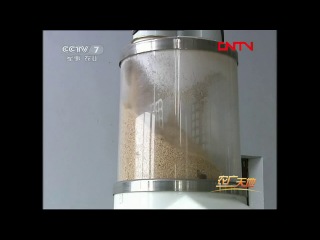 production of wheat flour and cleansed rice.