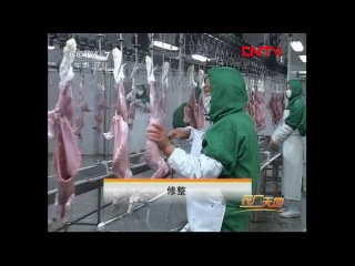 rabbits - slaughter and processing of animals for the sake of dietary meat (not for the impressive).