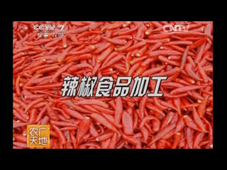 chili pepper - production of spicy products. small tits big ass