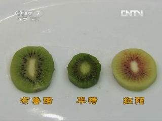 kiwi - unusual chinese variet.