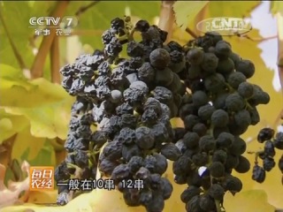 wine from raisin grapes.