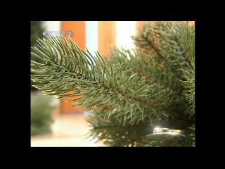 trees for christmas and new year - technology of production of artificial trees.