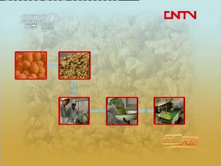 walnut - complex processing of fruits.