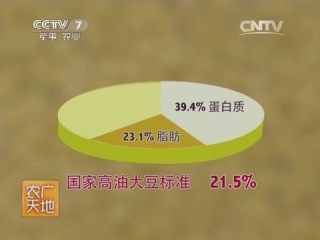 how soybean varieties huang-huai haixia grow.