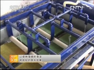 nori for land - technology for processing sea algae.