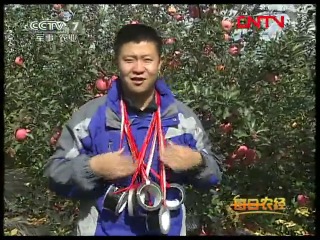 solar prints on apples