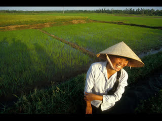 weaving craft zhuli (bamboo hat), or douli (ten liter hat). big tits