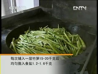 bamboo - shoots processing big tits