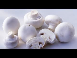 mushrooms - processing technology