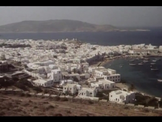 greek fig tree / griechische feigen 